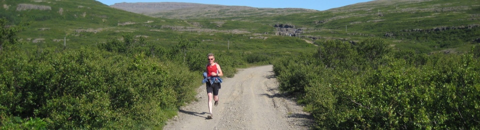 Fjallvegahlaup Stefáns