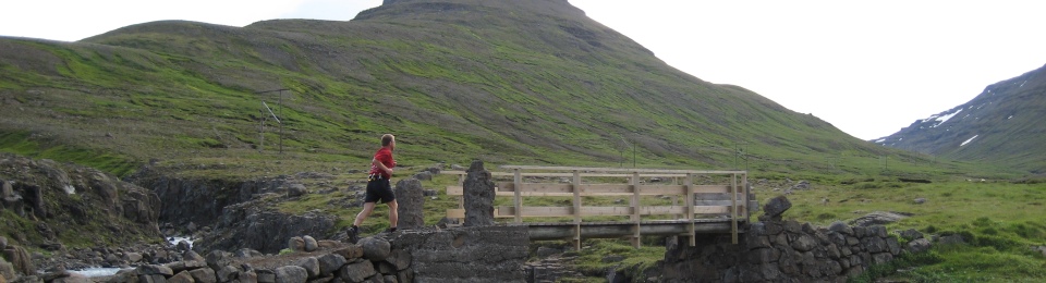 Fjallvegahlaup Stefáns