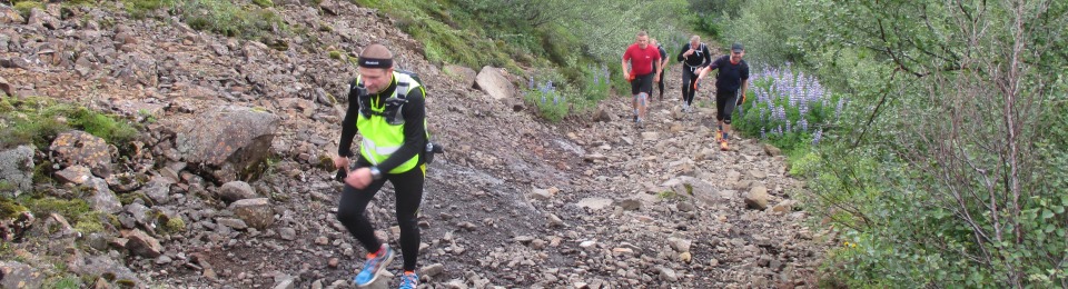 Fjallvegahlaup Stefáns