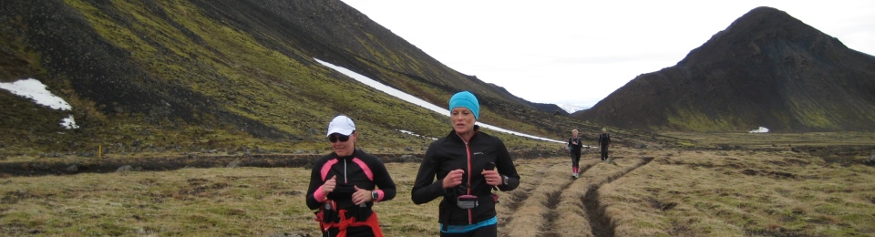 Fjallvegahlaup Stefáns