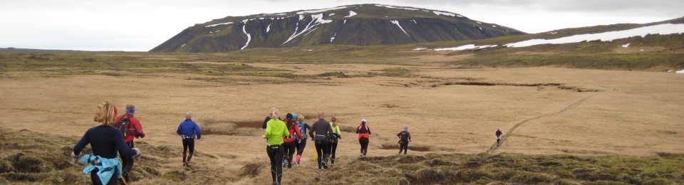 Fjallvegahlaup Stefáns