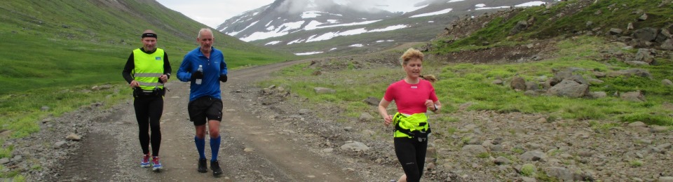 Fjallvegahlaup Stefáns