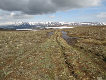 Uppbyggður Þingmannavegur handan við háheiðina.