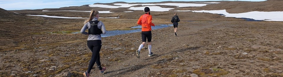 Fjallvegahlaup Stefáns