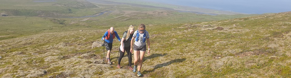 Fjallvegahlaup Stefáns