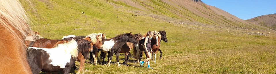 Fjallvegahlaup Stefáns