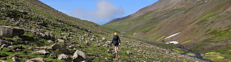 Fjallvegahlaup Stefáns