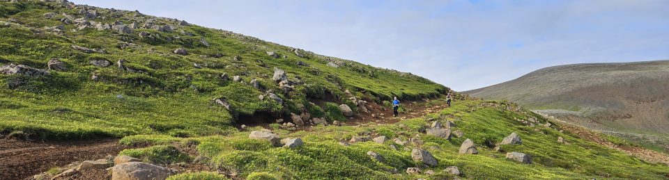 Fjallvegahlaup Stefáns