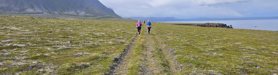 Fjallvegahlaup Stefáns